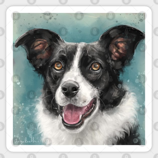 Painting of a Black and White Border Collie Dog on Grey Blue Background Sticker by ibadishi